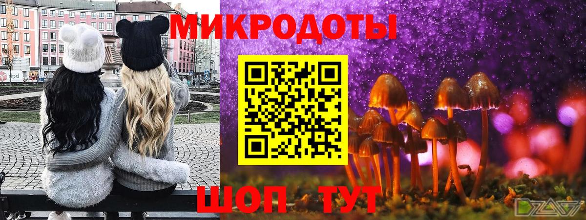 Сокол  купить наркотик  Вход с VPN  Галлюциногенные грибы прущие грибы 